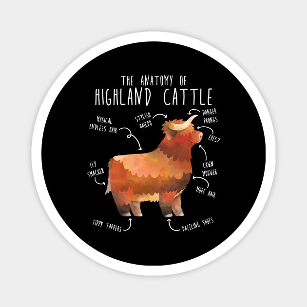 Highland Cow Anatomy Magnet by Psitta